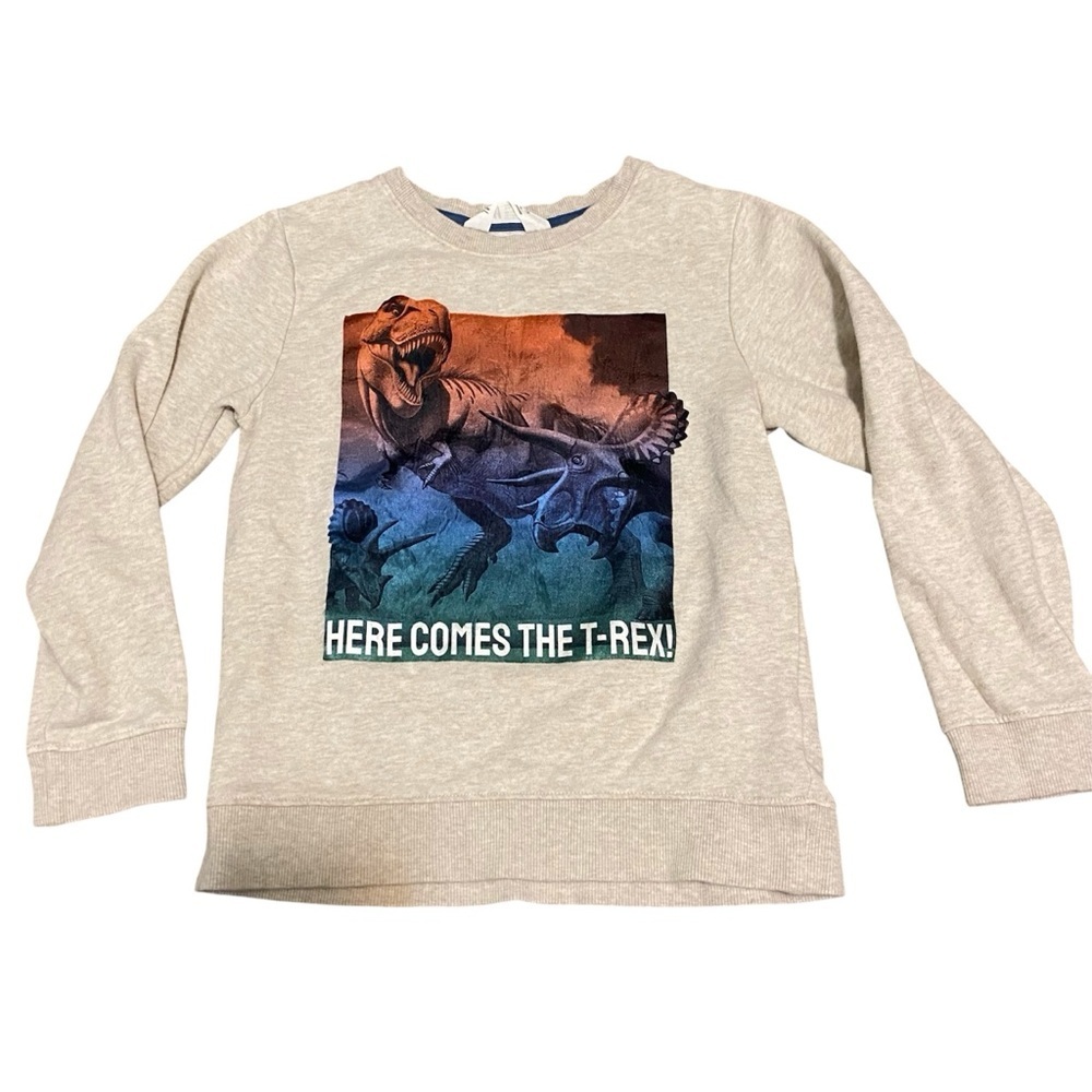 Boys Kids H&M 6-8yr Pullover Sweater Sweatshirt Clothing Apparel Casual 4/$20 🛑